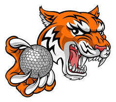 Cattron and Brown named to D10 All-Region Golf Teams