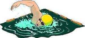 Tiger Swim Team Shines at D10 Championships!